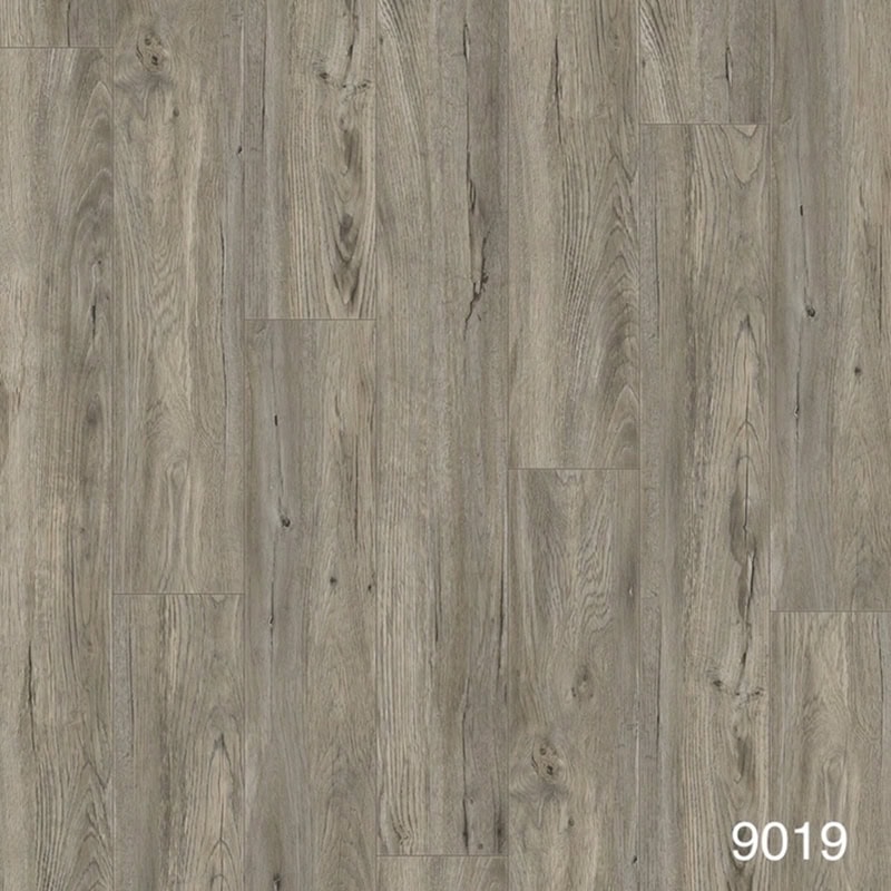 Sàn nhựa dán keo Galaxy Gold 9019