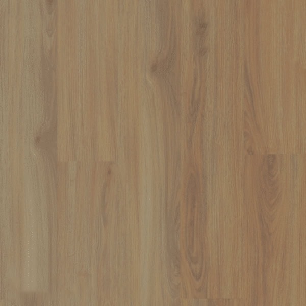 Sàn nhựa hèm khóa Msfloor C-509