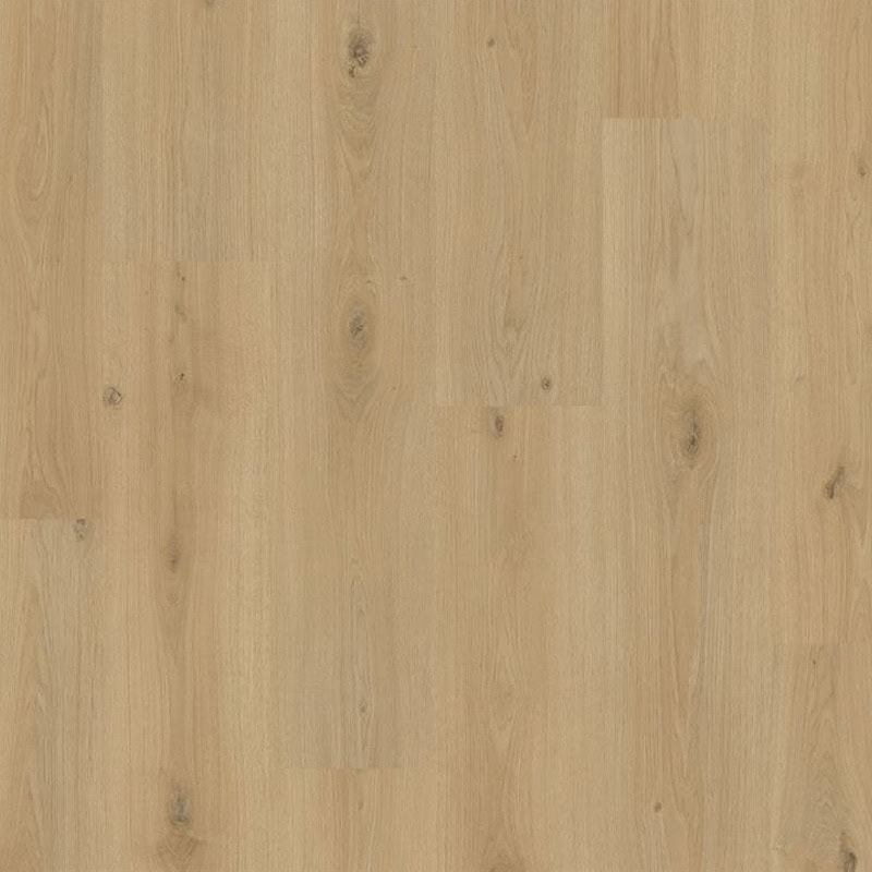 san-go-balterio-lvi61064